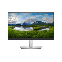 MONITOR LED 22 DELL P2222H