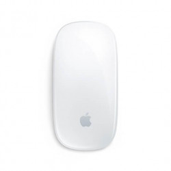 RATON APPLE MAGIC MOUSE