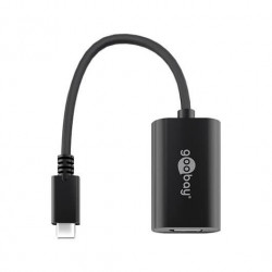 ADAPTADOR USBC 30 A DISPLAY PORT GOOBAY 02M